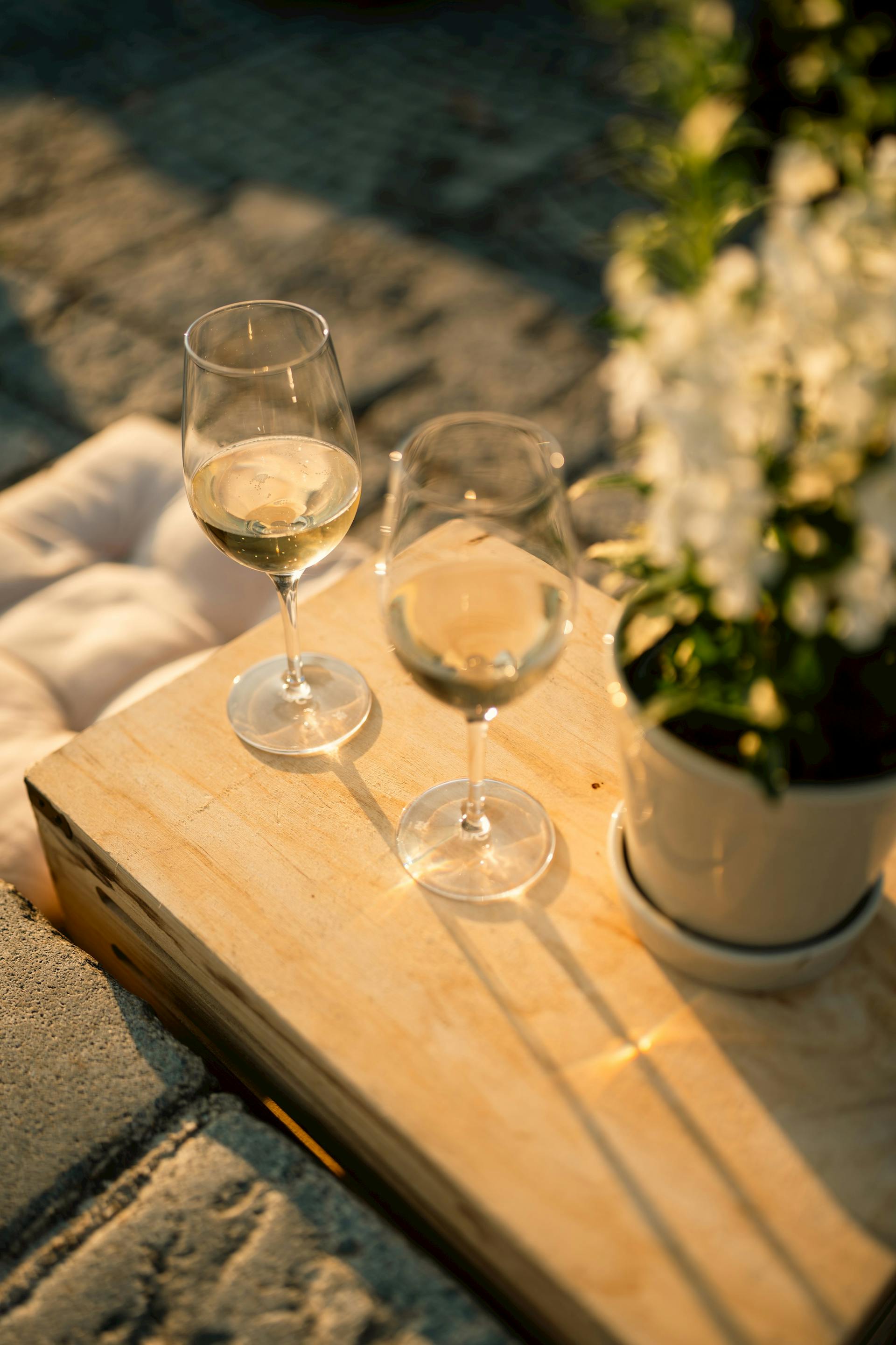 Poletje pri Najstarejši trti: Vinski večer z vini Frešer